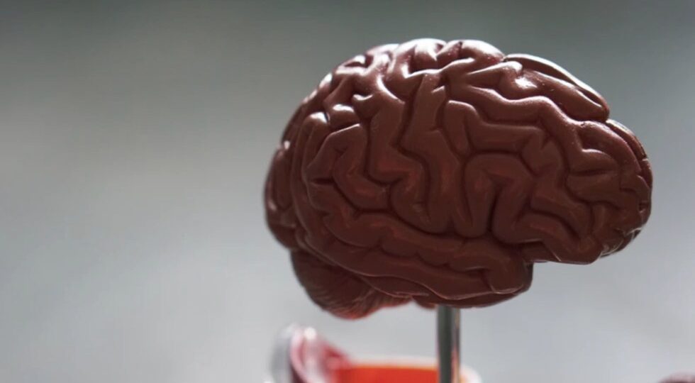 La mitad de quienes sufren infarto cerebral tiene secuelas y discapacidad –  Yucatán a la mano