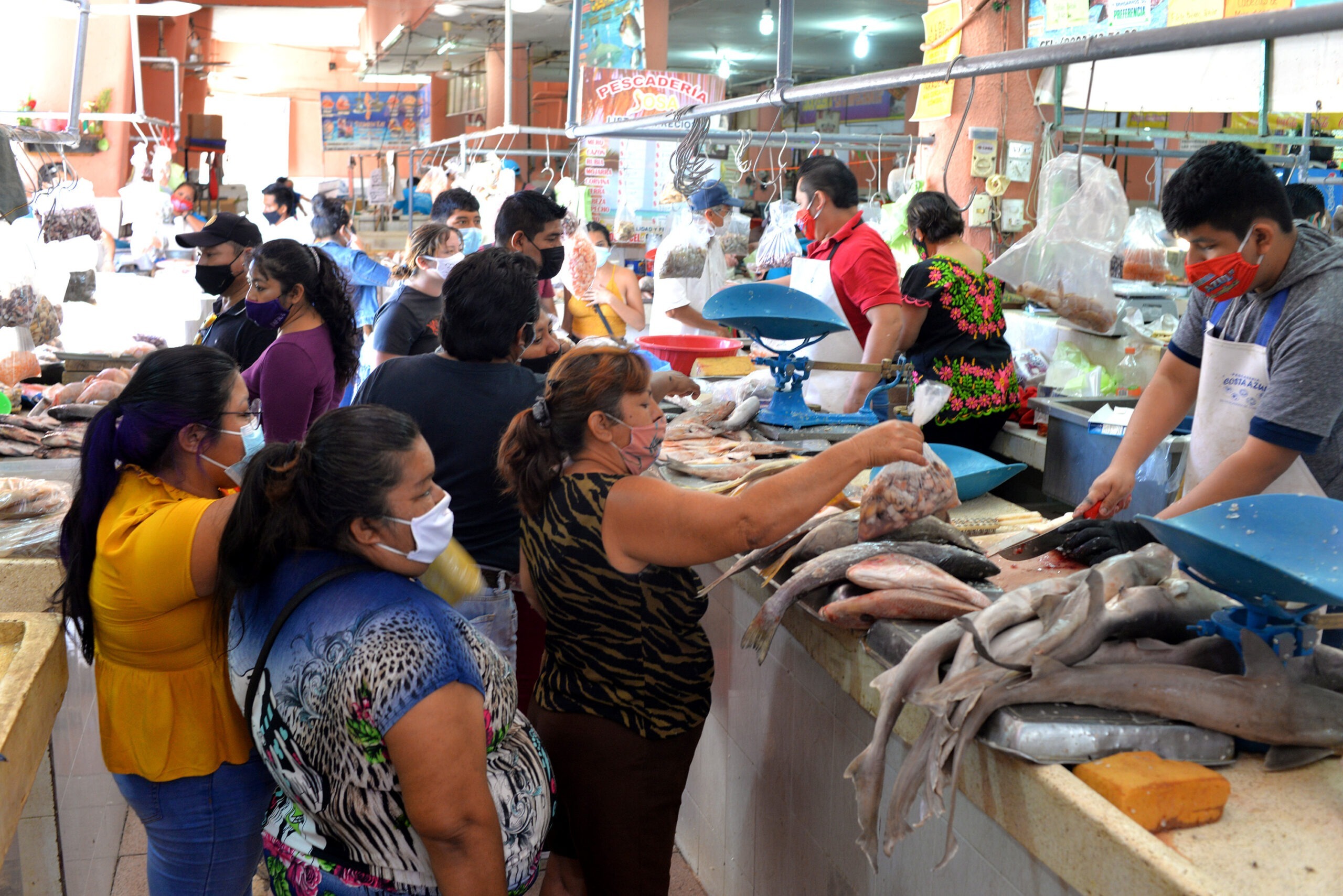 Se duplican ventas de pescados y mariscos en el Lucas de Gálvez – Yucatán a  la mano