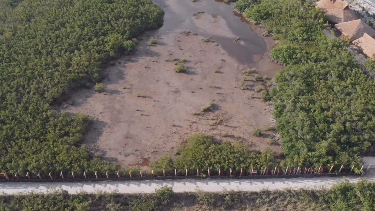 Ecocidio en Cozumel: Secan laguna en la zona de Palancar y podrían dañar  arrecifes – Yucatán a la mano